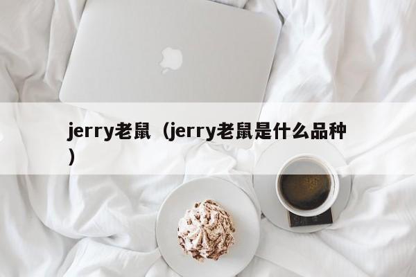 jerry老鼠（jerry老鼠是什么品种）