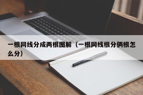 一根网线分成两根图解(一根网线根分俩根怎么分)