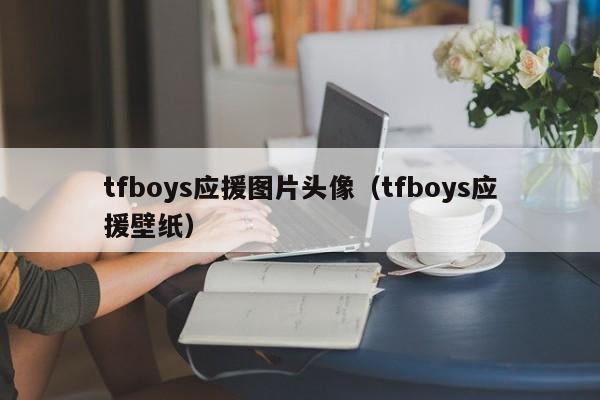tfboys应援图片头像（tfboys应援壁纸）