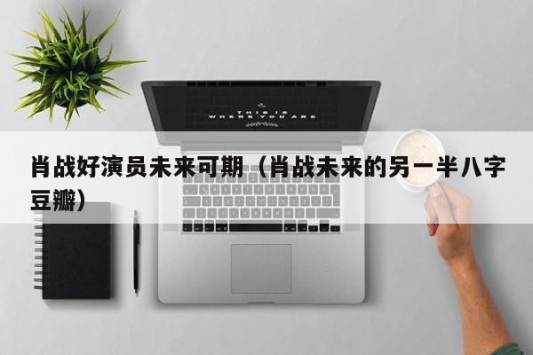 肖战好演员未来可期（肖战未来的另一半八字豆瓣）