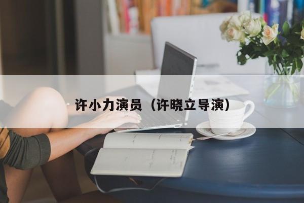 许小力演员（许晓立导演）