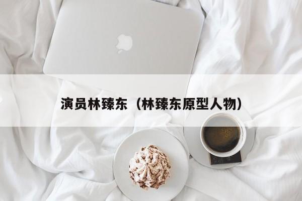 演员林臻东（林臻东原型人物）