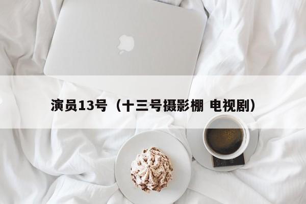 演员13号（十三号摄影棚 电视剧）