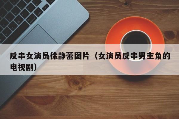 反串女演员徐静蕾图片（女演员反串男主角的电视剧）